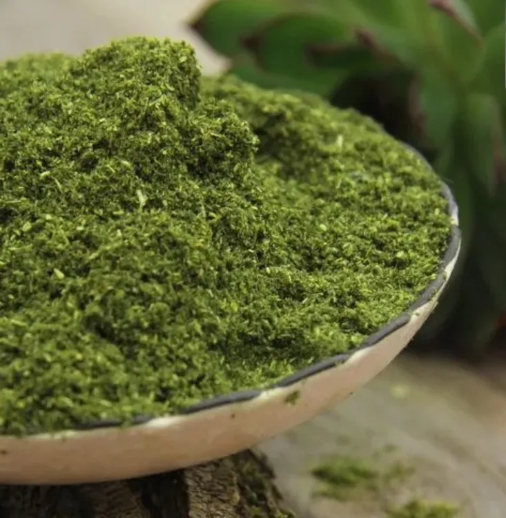 农家香豆粉（苦豆粉）送姜黄粉一包