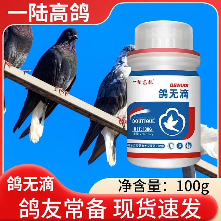 【一陆高鸽】鸽无滴鸽子毛滴虫念珠菌球虫黄绿稀便甩头吐食口疮专用