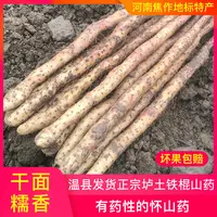 怀山药5斤正宗河南焦作特产温县垆土铁棍山药新鲜铁杆怀山药精选