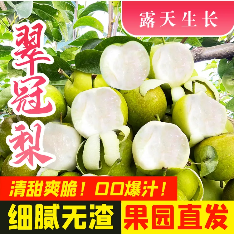 2025年湖北翠冠梨非砀山梨应季水果翠冠梨脆甜多汁现摘现发