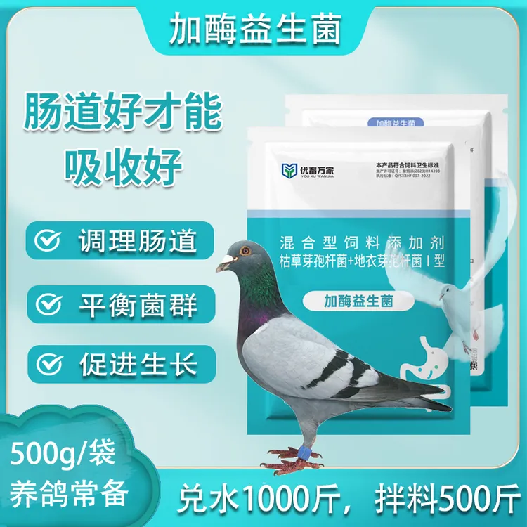 肉鸽赛鸽种鸽肉鸽用加酶益生菌饲料添加剂