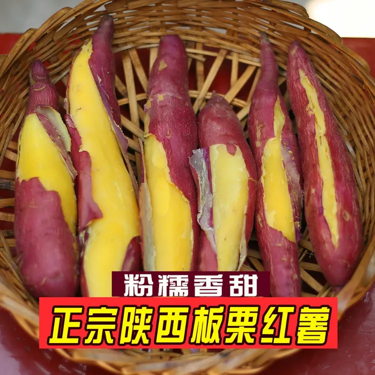 陕西粉糯香甜临潼板栗红薯自产自销现挖新鲜发货地瓜沙地番薯山芋