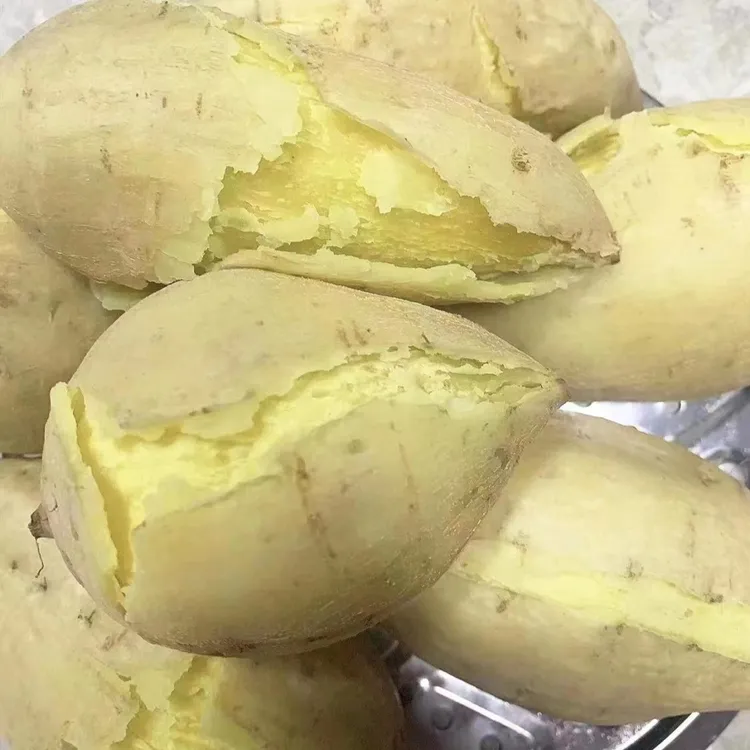 广东潮汕白皮黄心番薯甜糯鸡蛋黄板栗薯红薯新鲜沙地现挖地瓜