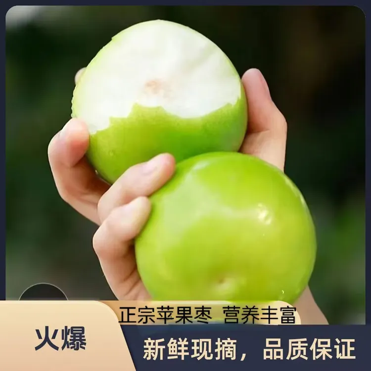 顺丰到家正宗云南西双版纳苹果枣脆甜爽口多汁新鲜水果孕妇水果