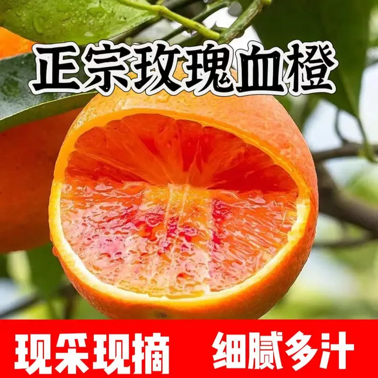 【正宗四川血橙】阳光皮薄细腻脆嫩塔罗科血橙爆汁果园直发新鲜采摘