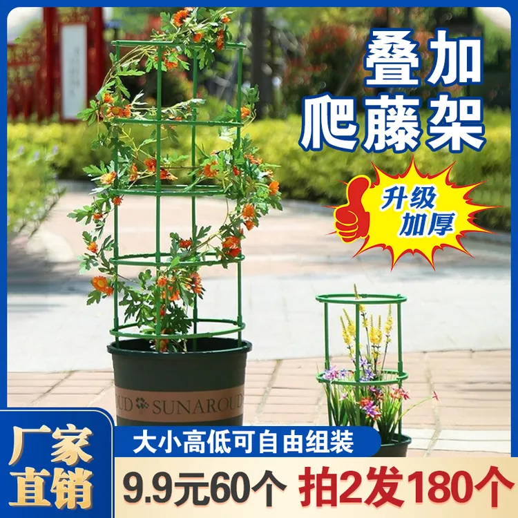 【超值60个 10层随意组合！】自由拼接花架支架支撑圈防倒伏爬藤架
