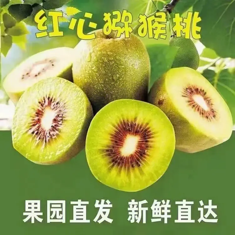 陕西眉县红阳猕猴桃纯甜爆汁现摘现发