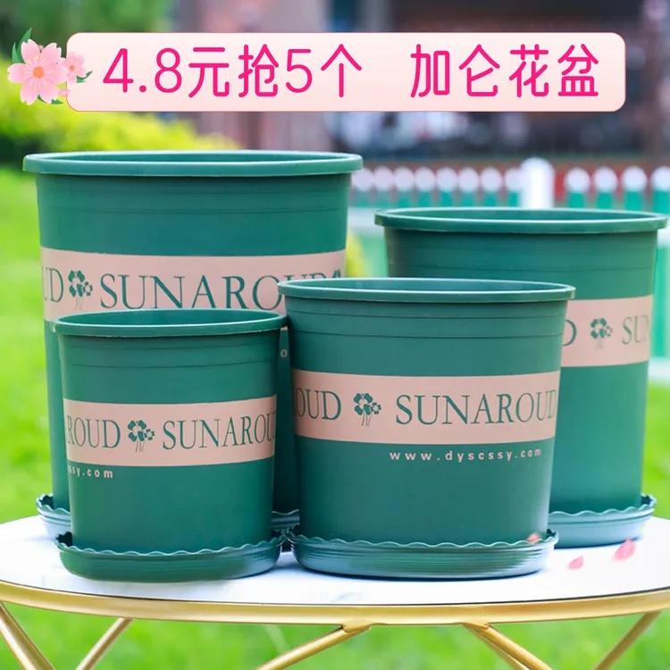 4.8元抢5个加仑花盆大号绿萝盆栽加厚小花盆阳台月季玫瑰塑料花盆