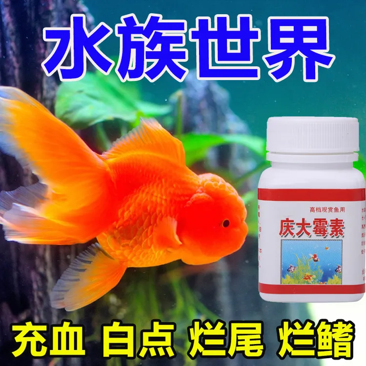 水族庆大霉素50g/瓶各种鱼类皆可使用金鱼乌龟烂尾烂肉充血