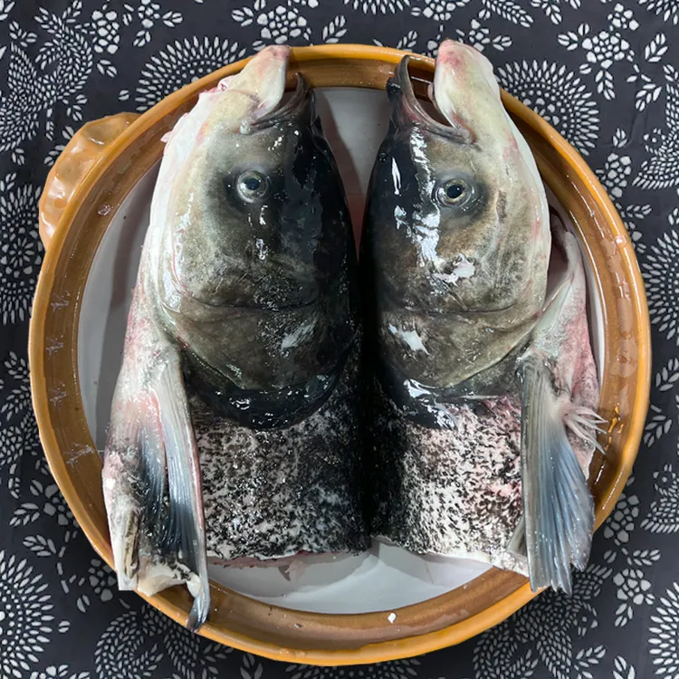 千岛湖淳牌有机鱼胖头鱼现切光鱼头整个带鳃称4-20斤鲜嫩食用美味
