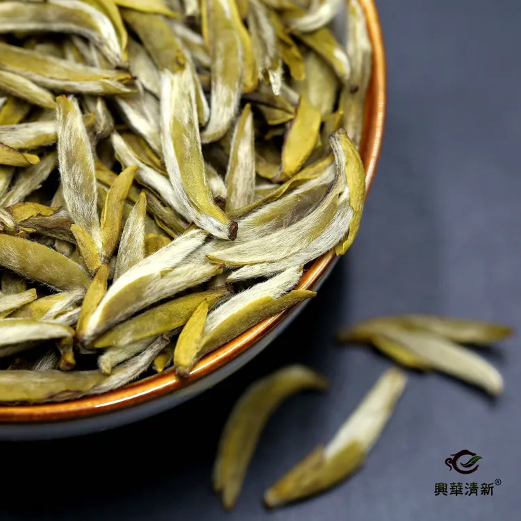 招牌十窨茉莉雀舌2025茉莉白毫银针高端茉莉花茶浓香型100克250克
