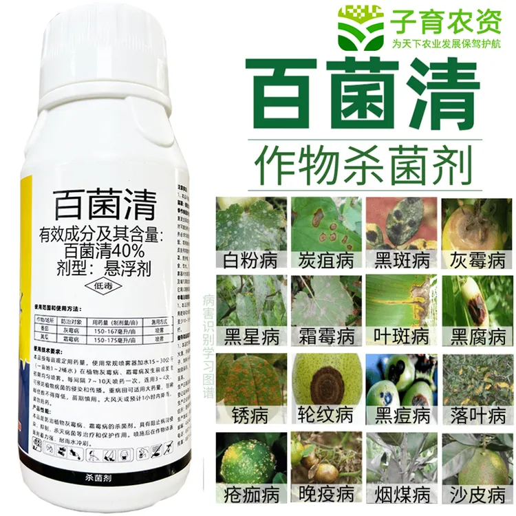 40%百菌清果树蔬菜花卉杀菌剂锈病炭疽病白粉病叶斑病霜霉病农药