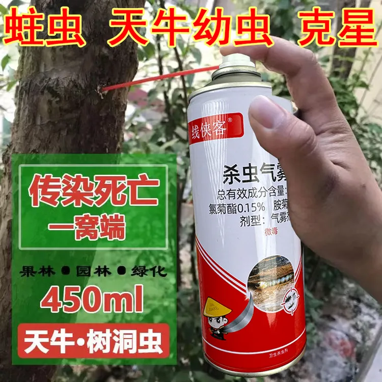 天牛果树幼虫钻心虫果树树洞园林蛀虫农药杀虫剂天牛幼虫专杀