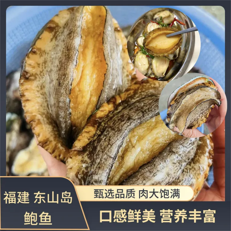 可滋道精选鲍鱼 中大号 鲜剥纯肉 4-6厘米买12送12只 买24送24只
