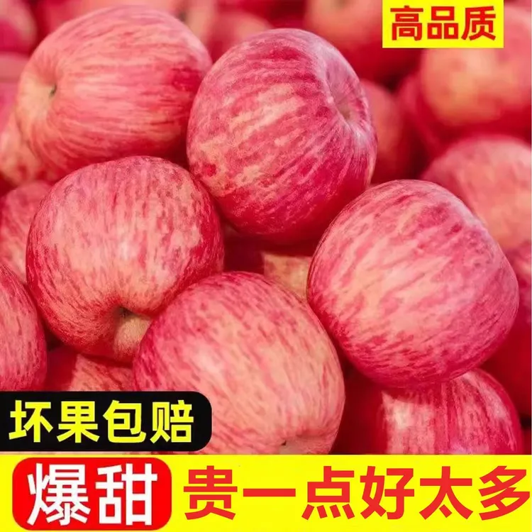 【霜降后采摘口感更好】陕西正宗高山红富士新鲜苹果脆甜多汁包邮