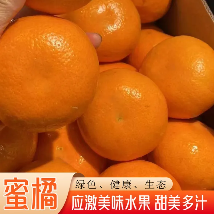 正宗重庆蜜橘应季水果自然熟橘子口感示意甜美多汁带箱3斤装