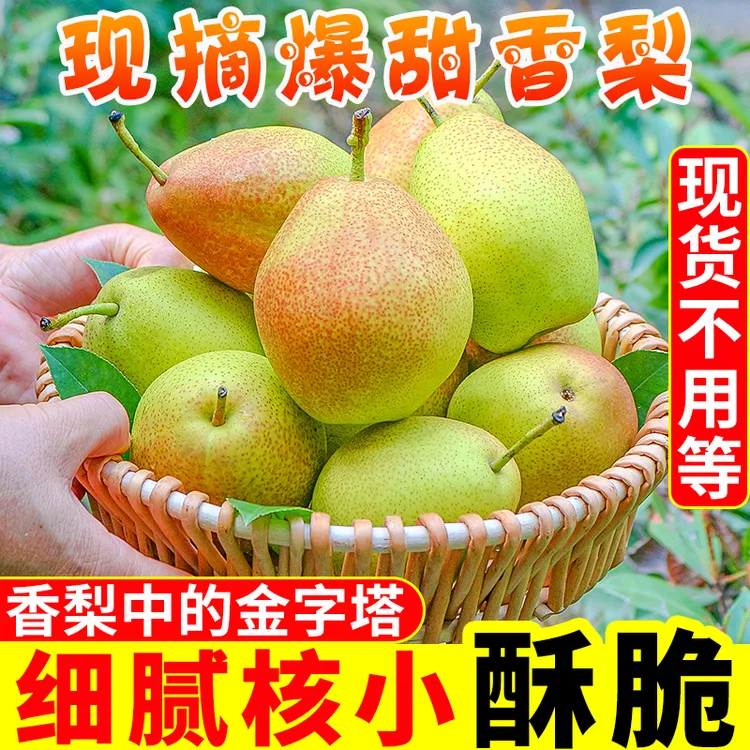 【御品一园】红香酥梨梨子新鲜水果当应季整箱香梨包邮应季商品图