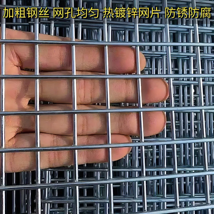 安迪凡镀锌铁丝网片钢丝网片金属网片鸽舍鸡舍狗笼子网片建筑网片