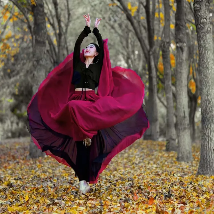 双面穿古典舞舞蹈服女飘逸720度天丝大摆裙现代舞半身裙演出服装