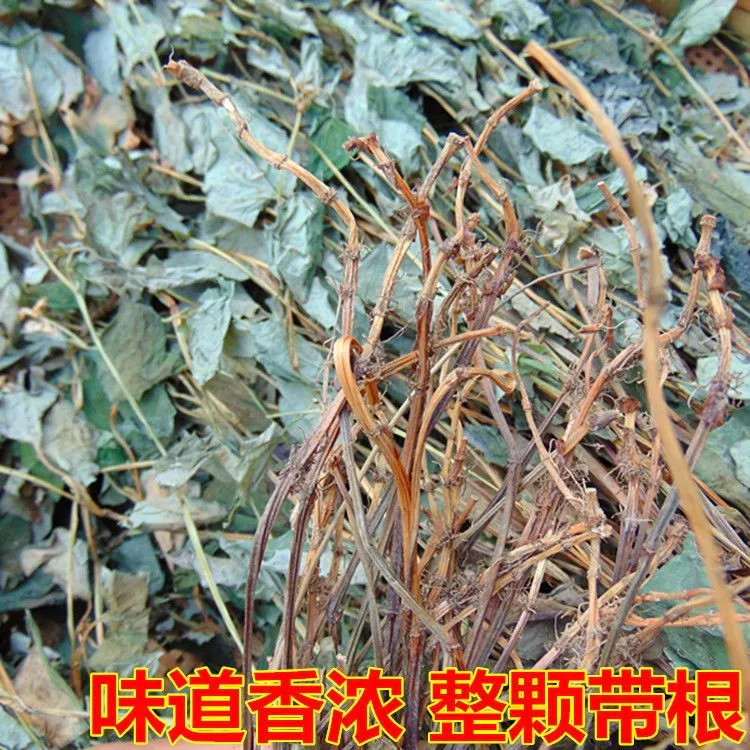 鱼腥草干农家自晒折耳根整棵高山精选无硫干货