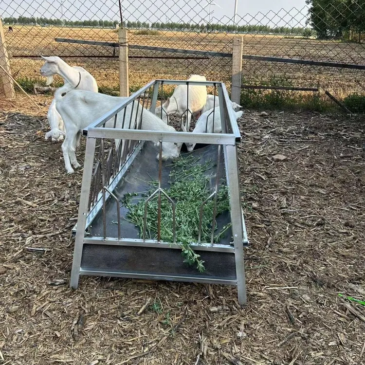 新品定位式双面羊槽子防止羊抢食一整套羊食槽一羊一位大羊槽料槽