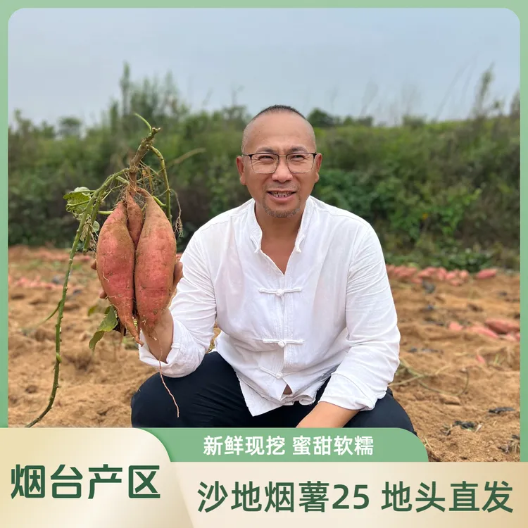 老韩家【烟薯25鲜果】地瓜现摘现发 烟台产地直发 沙地蜜薯番薯红薯