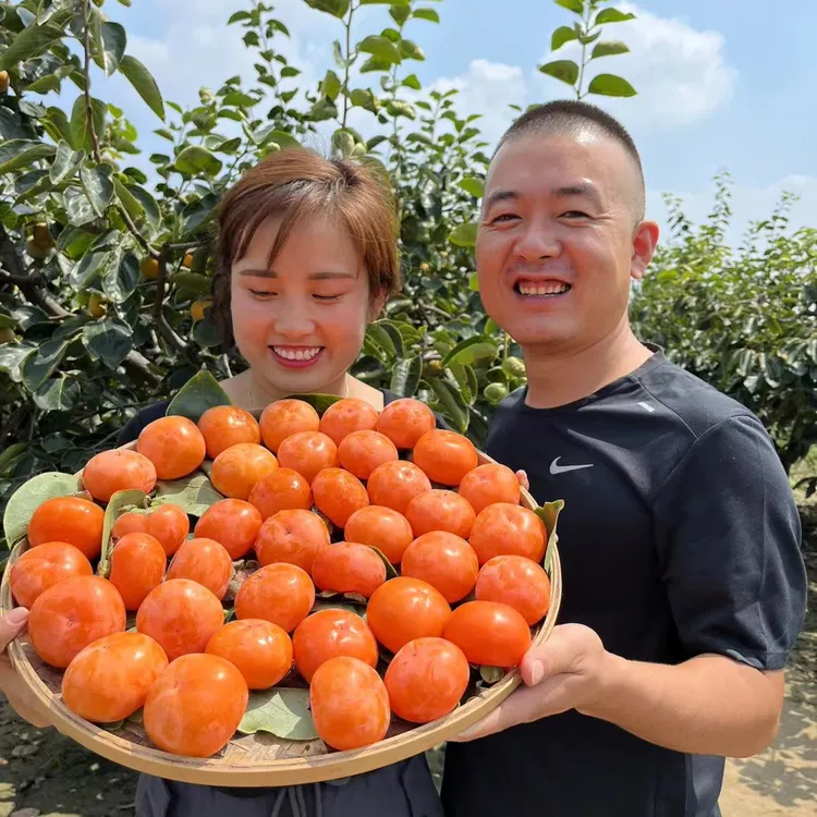 陕西火晶柿子新鲜15枚45枚当季水果整箱应季水晶软甜一口吸小皮薄
