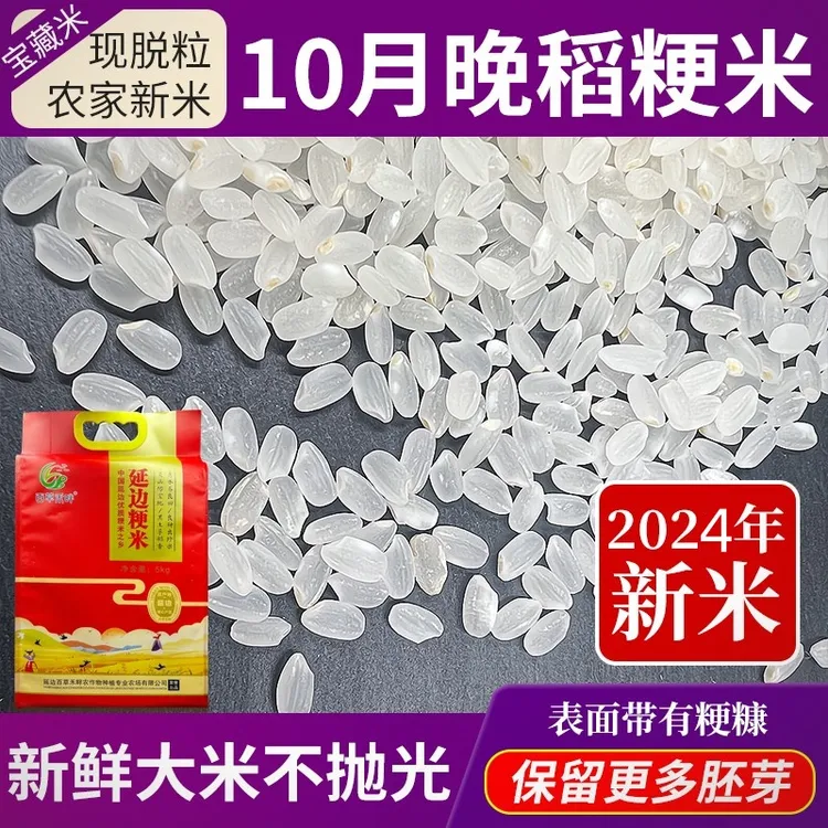 2024新米东北大米延边粳米农家胚芽米圆粒珍珠米东北大米5kg