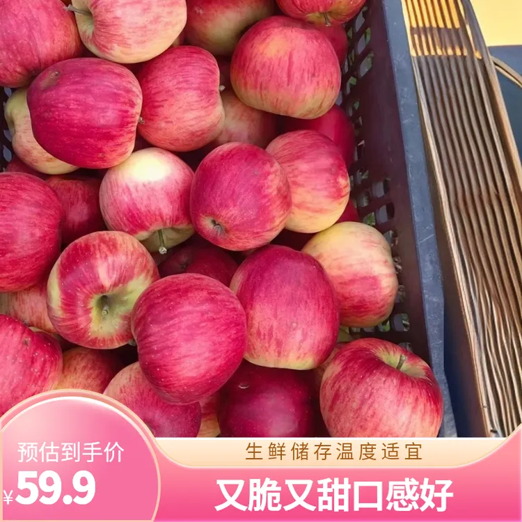 高枧村红露苹果特色水果又脆又甜