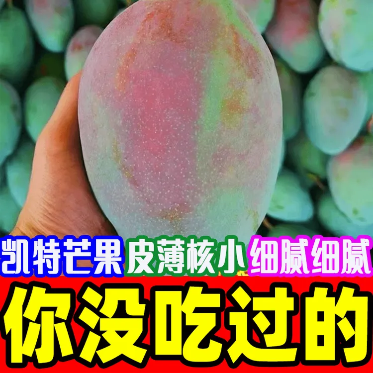 芒果凯特四川攀枝花大芒果超甜特大号新鲜水果批发1/5/10斤装包邮