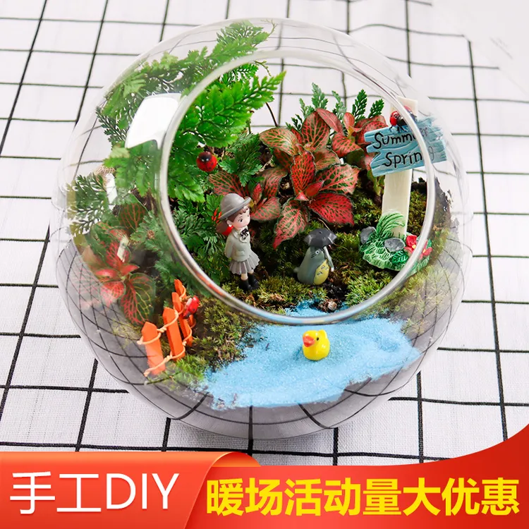 【暖场活动】创意苔藓微景观diy材料包多肉生态瓶手工组合团体套餐