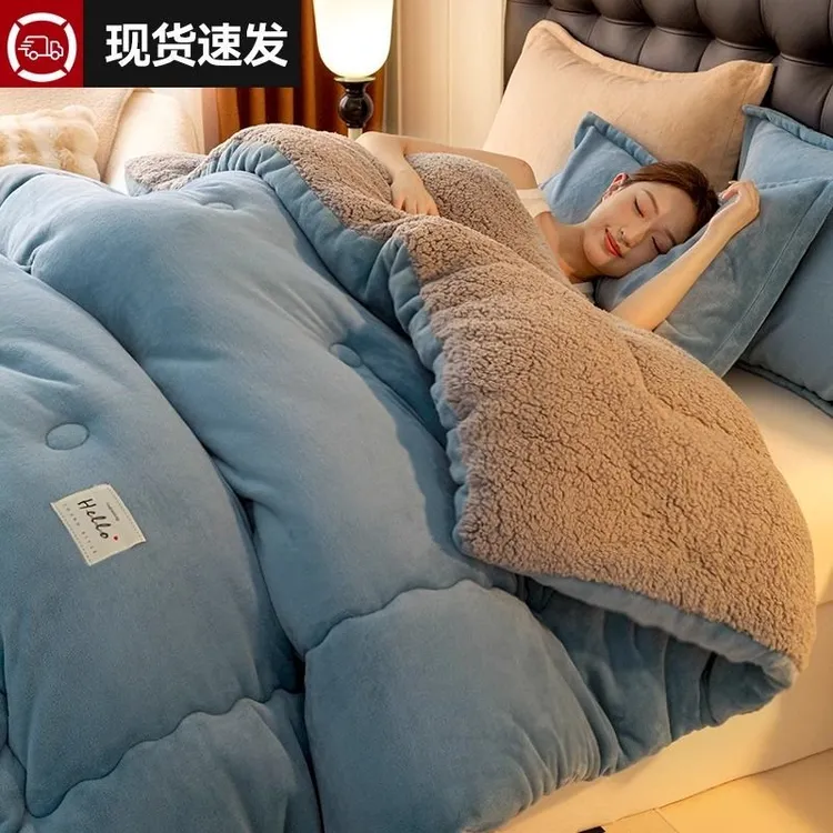 双面加绒被子被芯加厚保暖冬被宿舍牛奶绒被通用羊羔绒被子绵被