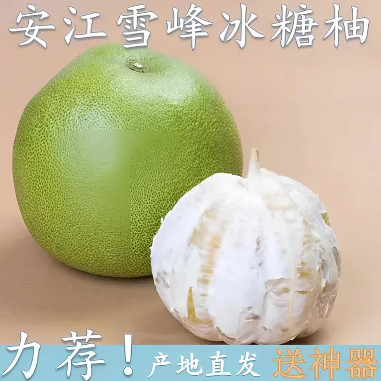 湖南怀化安江雪峰冰糖柚香柚小苦柚土柚安福柚子水晶金兰柚蚕子柚