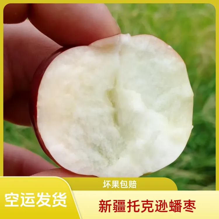 新疆蟠枣又大又甜托克逊优质蟠枣优选皮薄早熟