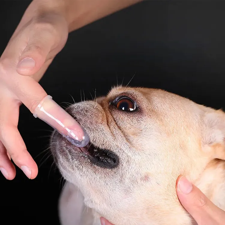 宠大条猫咪专用狗狗刷牙神器手指套牙刷牙膏套装泰迪宠物牙刷清洗