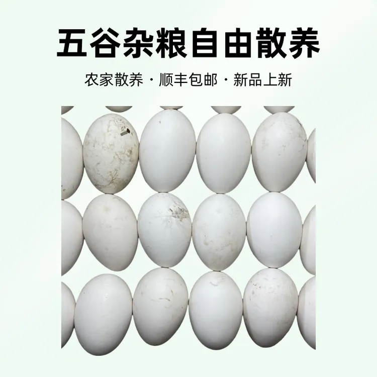 农家散养土鹅蛋新鲜现捡现发大个孕妇儿童适用农村