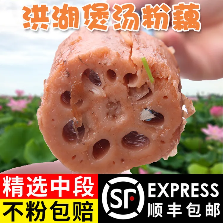 正宗洪湖粉藕煲汤莲藕新鲜面藕粉糯香甜现挖湖藕5斤湖北特产蔬菜