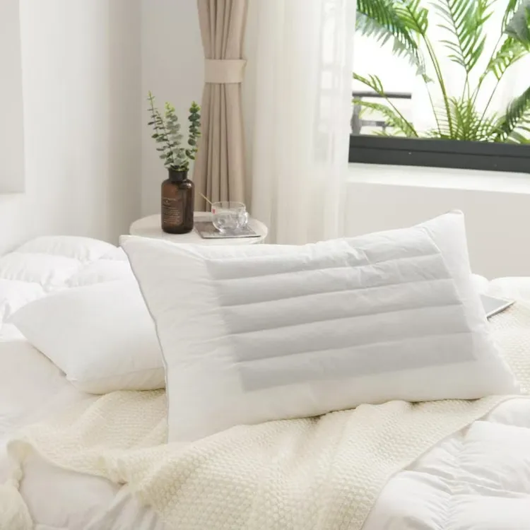 夏尔小镇—单面荞麦枕