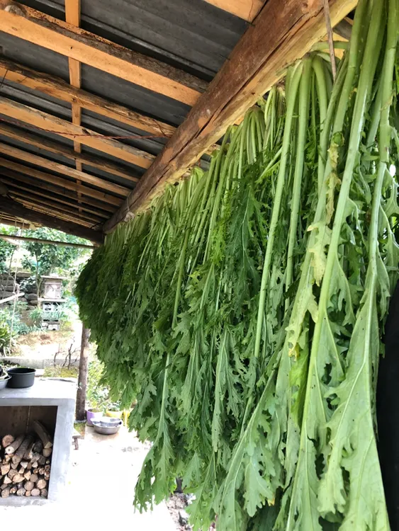 纯手工雪里蕻盐菜