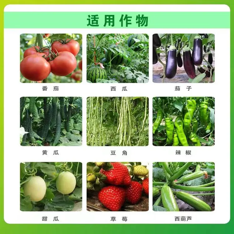 新品正品套装瓜果蔬菜农用通用型控旺剂不伤花果增产增收瓜果蔬菜