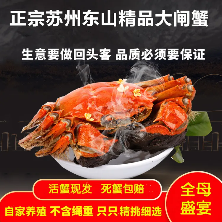 【活蟹】正宗苏州精品生态大闸蟹母2.6-2.4两公3.3-3.5两6/8/10只