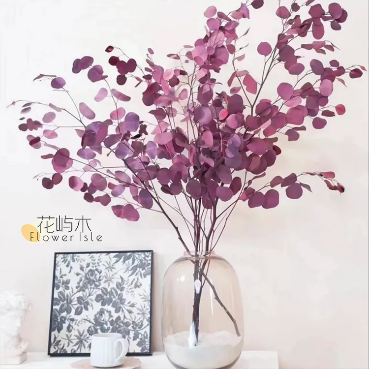 严选尤加利苹果叶【桌面款】可做干花永生花家居氛围感