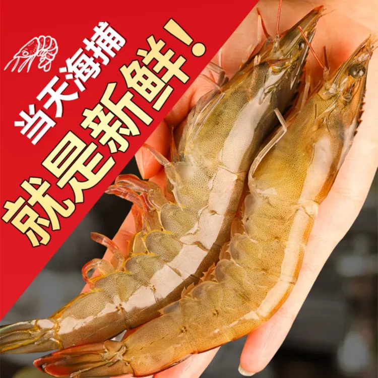 【当天海捕大明虾】北部湾野生海深海大白虾生鲜海虾1斤装发5斤