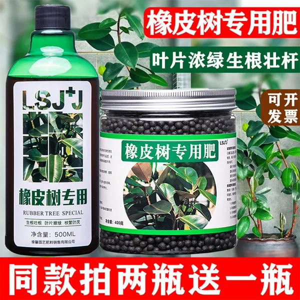 烂根肥料专用肥四季常青黑金刚橡皮树营养液室内室外盆栽有机肥