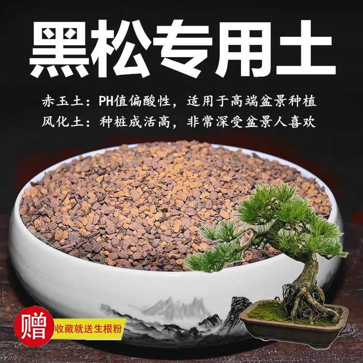 黑松专用土松树土赤玉土风化土颗粒土酸性土红土盆景专用营养粒