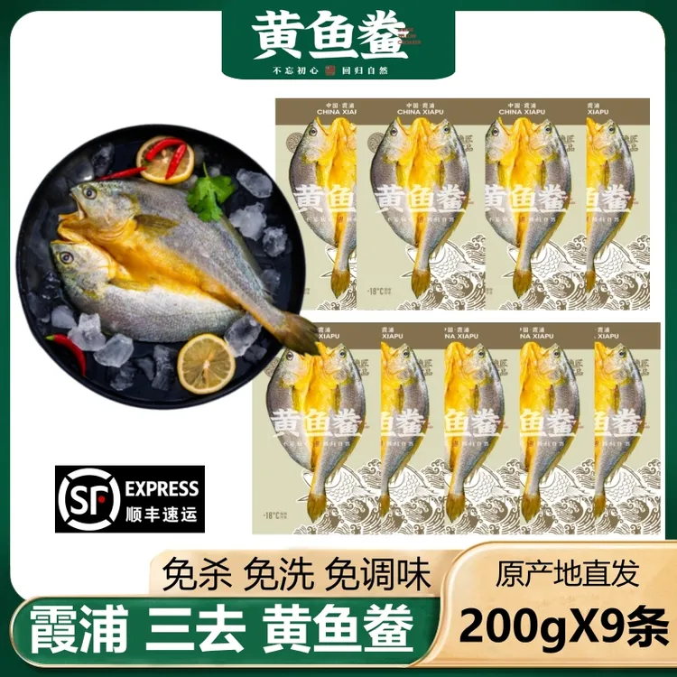 【200g/条X9条】福建霞浦黄鱼鲞 宁德大黄鱼三去咸香黄花鱼新鲜冷冻