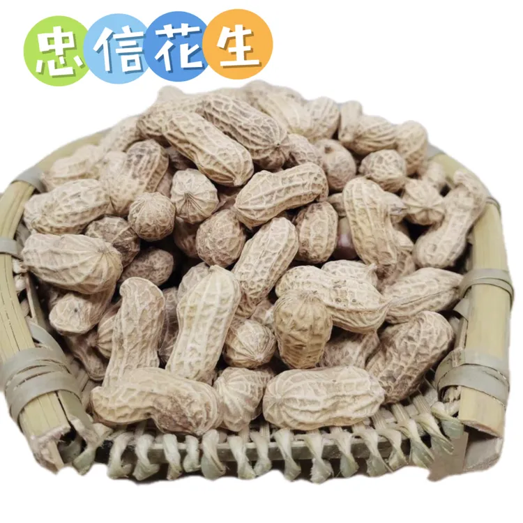 23年广东河源忠信水煮味道精选晒干花生开袋即食咸干好吃美味香甜