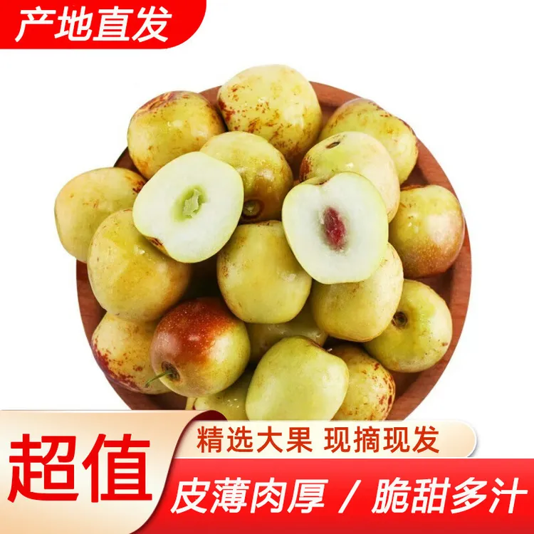 【5斤】沾化冬枣皮薄肉厚香脆爽口甘甜细腻 新鲜当季水果