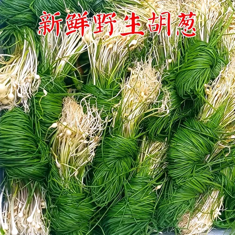 湘西新鲜野胡葱现挖野菜小根蒜沙葱当季农家菜香葱藠头野葱200g