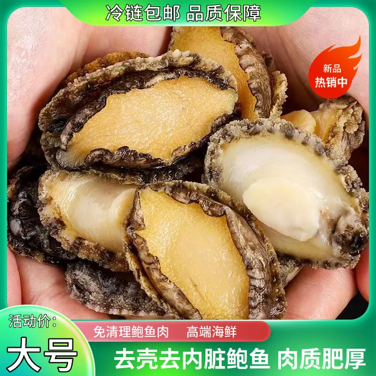 【鲜冻】5-6厘米鲍鱼肉 新鲜现剥纯肉精选九孔鲍 生鲜海鲜水产 包邮商品图